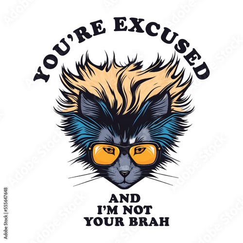 Fototapeta Naklejka Na Ścianę i Meble -  Excuse Me Brah. You're Excused, And You're Not My Brah. Cute cool fancy cat with sunglasses. Trendy Meme for t-shirt print.