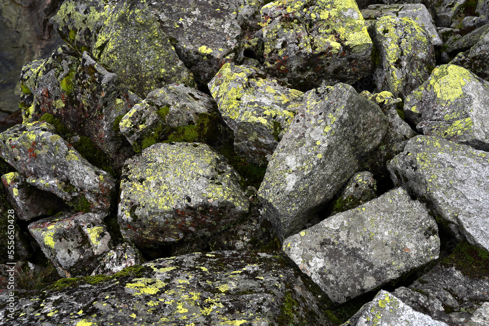Grey rocks with green and yellow moss as background. Rock texture