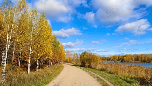 The dirt road runs along the grassy shore of the lake, with birch trees growing on it. There are reeds in the water and a forest on the far shore. In the fall, there are yellow leaves on the trees