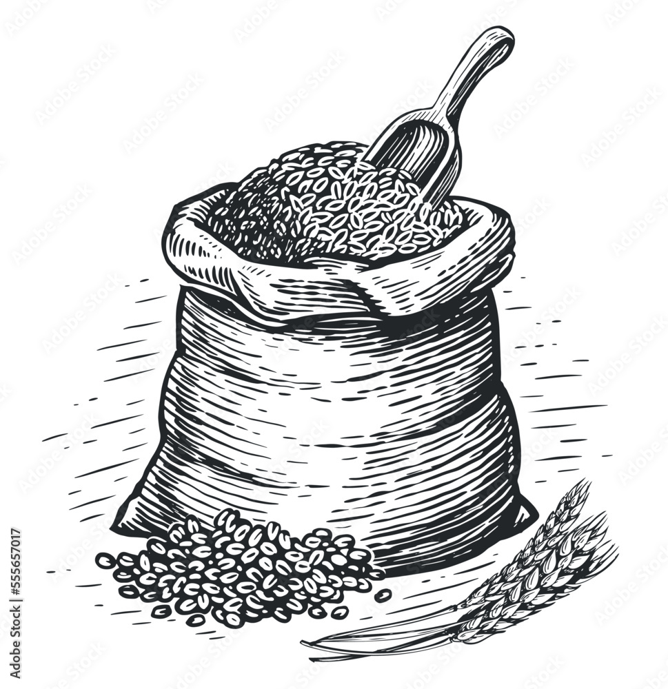 Sack full of wheat grains, sketch. Farm organic food, bread baking, bakery concept. Vintage vector illustration - obrazy, fototapety, plakaty 