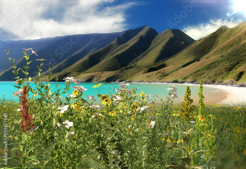 Wallpaper Mural  wild flowers and trees blue sky sunlight and mountain on front sea water sea beautiful nature landscape Torontodigital.ca