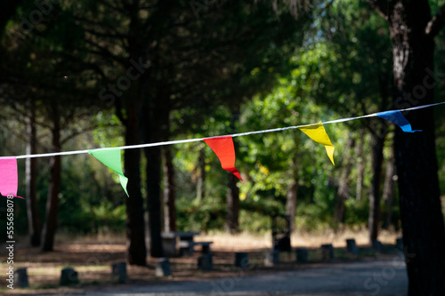 triangular flags at the party