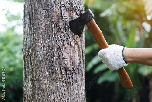 Closeup hand holds wooden handle axe to cut  tree. Concept, . Manual tool for carpenter and lumberjack, woodcutter. Weapon. Bring down tree. Destroy forest. Deforestation.                   photo