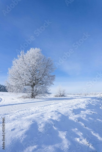 Winterlandschaft 5 © Snpshts Fotografie
