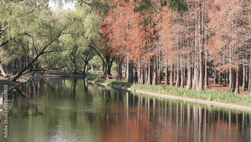 Beautiful autumn landscape 4k slow motion footage, colorful forest with reflections in peaceful lake like paintings in sunny day, loop able video. photo