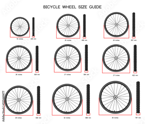 Bicycle wheel sizes guide, vector illustration
