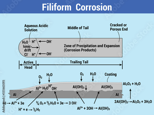Vector Illustration for Filiform Corrosion EPS10