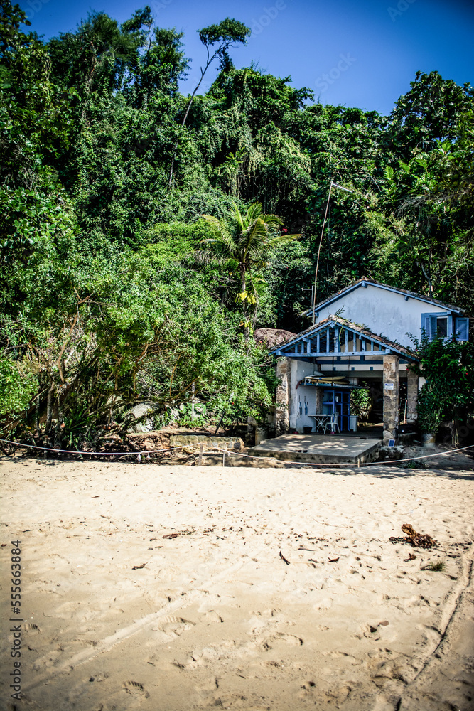 Fototapeta premium Ilha dos cocos Paraty Rio De Janeiro