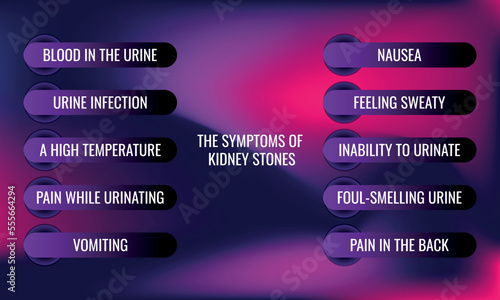 the symptoms of Kidney stones. Vector illustration for medical journal or brochure.