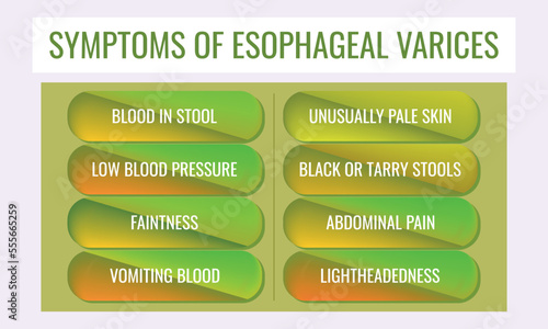 symptoms of Esophageal varices. Vector illustration for medical journal or brochure.