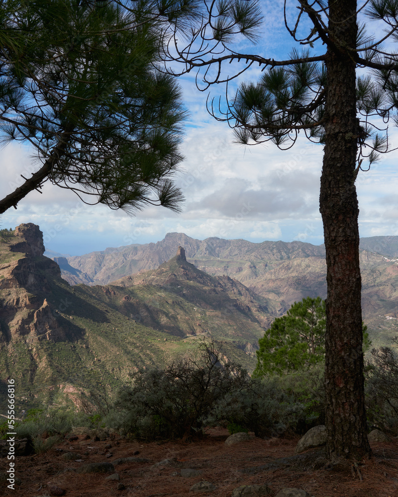 Mountain landscape between trees in Gran Canaria Mountain landscape between trees in Gran Canaria