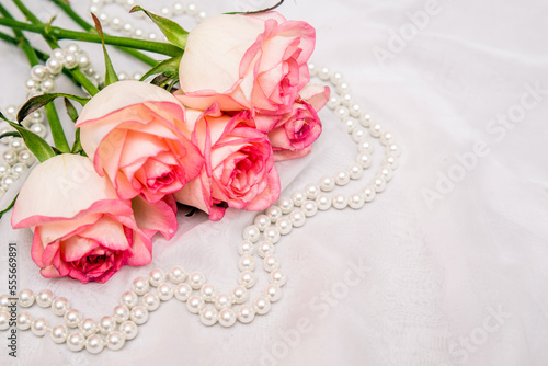 The branch of pink rose on white fabric background 