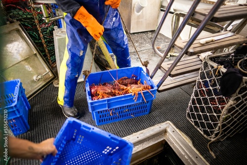 fish market with fish and crustations. seafood photo