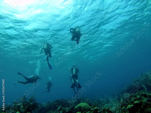 SCUBA divers swimming above the reef, off the coast of Utila, Honduras