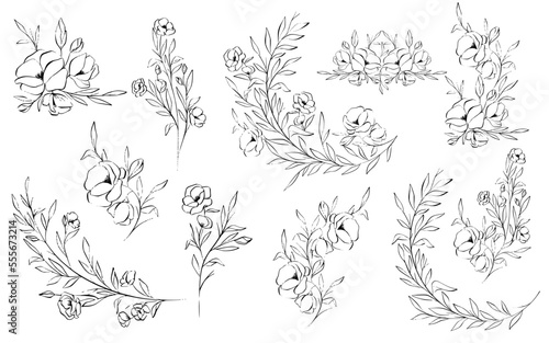 Handrawn Wedding Florals and Botanical Lineart Vector Elements