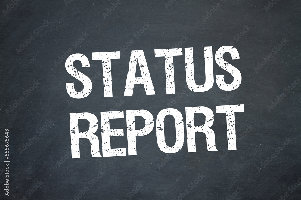 Fototapeta premium Status Report 