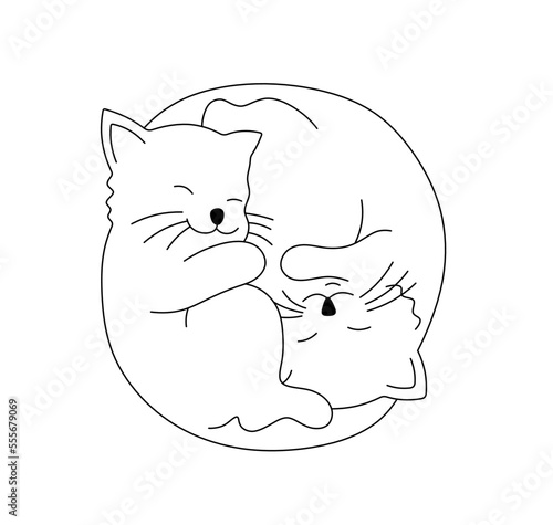 Vector isolated two cute cartoon sleeping cats kittens in ying yang pose colorless black and white contour line easy drawing
