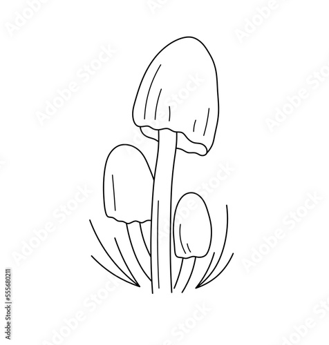 Vector isolated three mushrooms in grass big and small  colorless black and white contour line easy drawing
