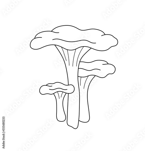 Vector isolated three chanterelle mashrooms of different sizes big and small colorless black and white contour line easy drawing