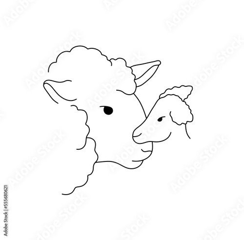 Canvas Print Vector isolated sheep with baby lamb head colorless black and white contour line