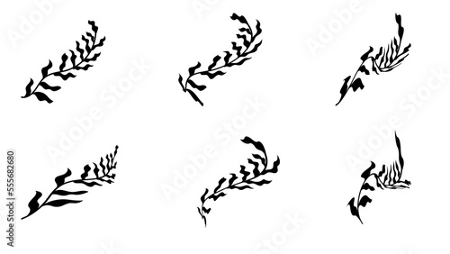 Set of Branches with Leaves Shilouette sketch