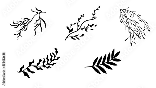 Set of Branches with Leaves Shilouette sketch