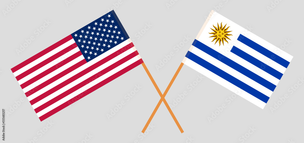 Crossed flags of the USA and Uruguay. Official colors. Correct proportion Crossed flags of the USA and Uruguay. Official colors. Correct proportion