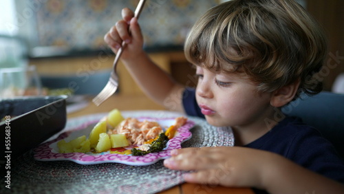 Little boy eating food at lunch table. Small child eats healthy organic food holding fork. Blond male kid. Salmon on plate