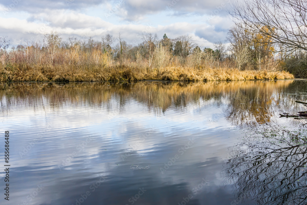 Obraz premium Fall Arboretum Inlet 7