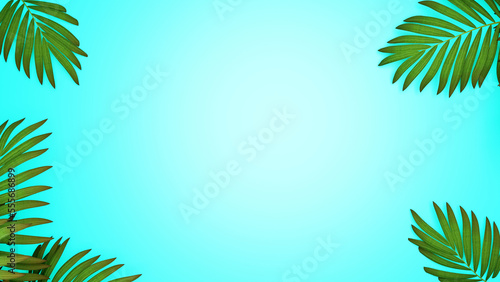Product podium green plants in turquoise color