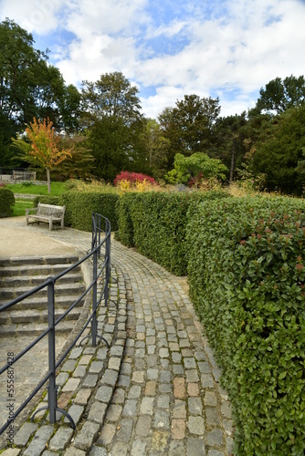 Chemin rustique parfois en pavés avec coins de repos entre les haies et plantes au Jardins des Fleuristes à Laeken
 