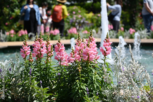 港の見える丘公園の噴水