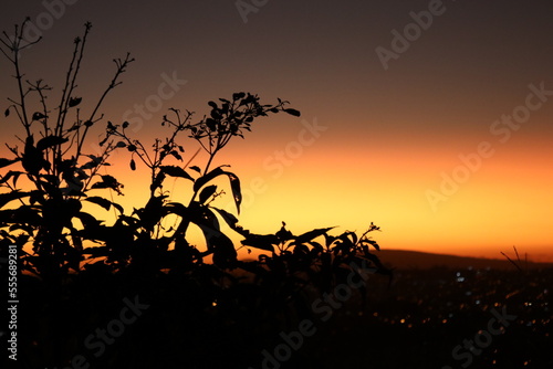 landscape with sunset on the mountain  nature and plants and colors yellow  orange and purple