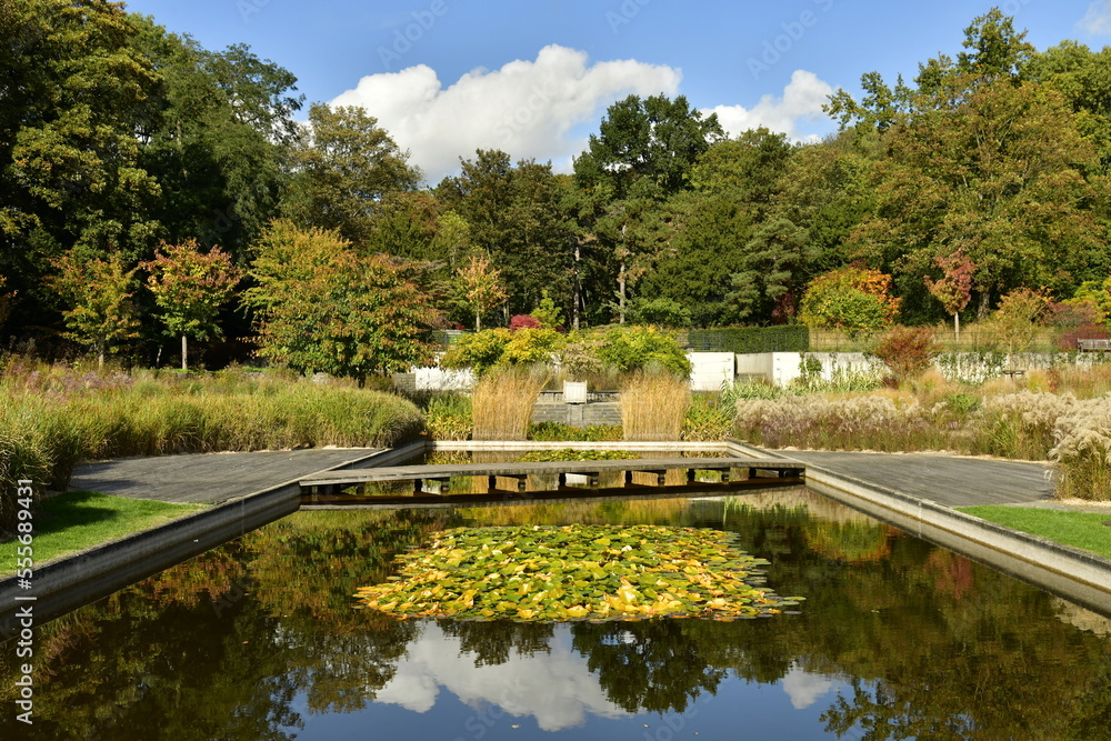 Fototapeta premium Décoration florale exceptionnelle en automne autour l'une des pièces d'eau du Jardin des Fleuristes à Laeken 