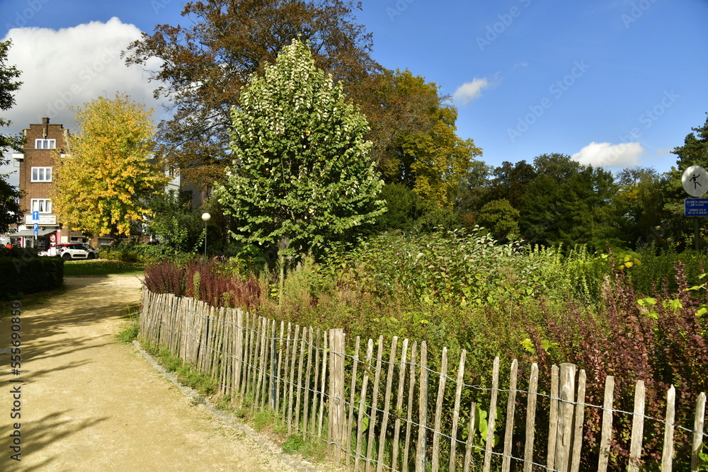 La végétation luxuriante aux couleurs de l'automne au parc de la Princesse Clémentine à Laeken La végétation luxuriante aux couleurs de l'automne au parc de la Princesse Clémentine à Laeken
