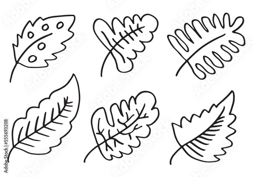 Hand drawn leaves isolated on white background.Leaves collection.