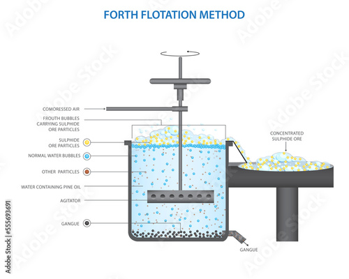 Froth flotation process for the sulphide ore photo