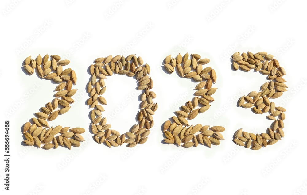 2023 Written with Cardamom or Cardamon Pods on White Background in Horizontal Orientation, Happy New Year 2023 Wishing Conceptual Photo 2023 Written with Cardamom or Cardamon Pods on White Background in Horizontal Orientation, Happy New Year 2023 Wishing Conceptual Photo
