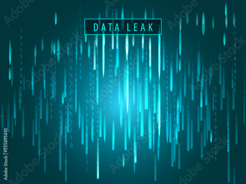 data leak code