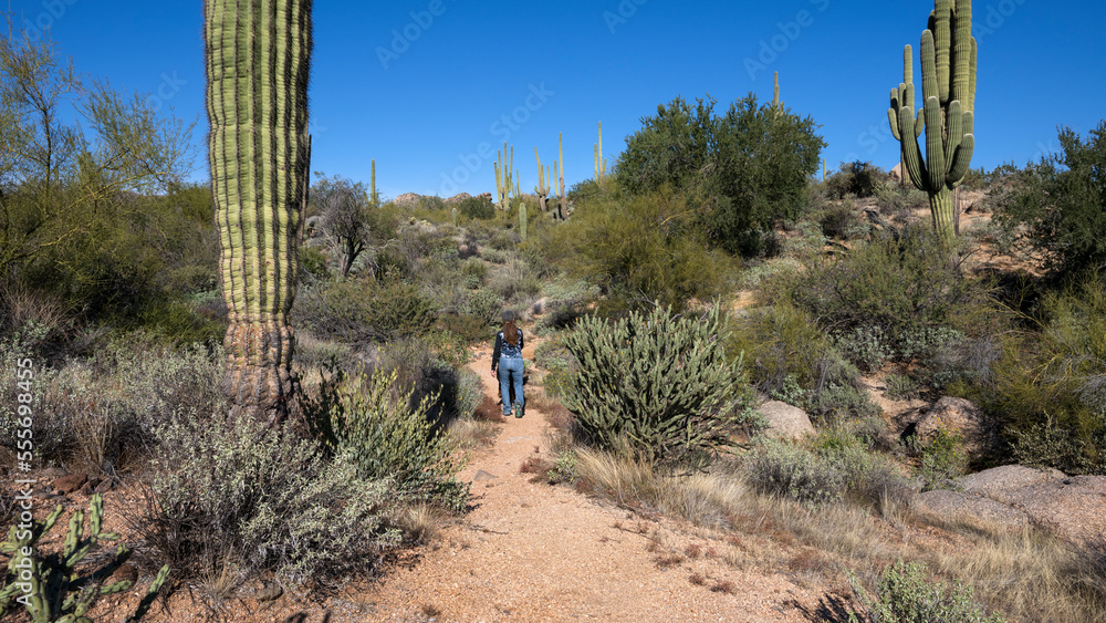 A woman and her dog hiking in an Arizona trail
