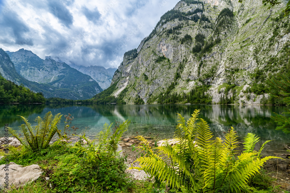 Fern in front of Obersee with Alps Mountains in the Background, Germany, Europe