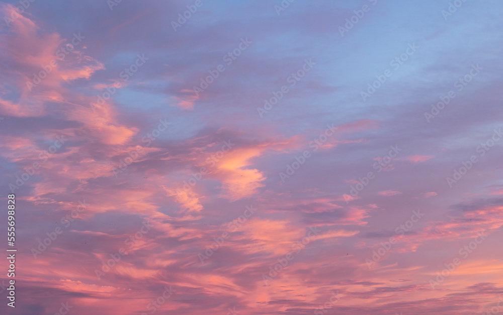 beautiful sunrise sky in cyan and magenta colors