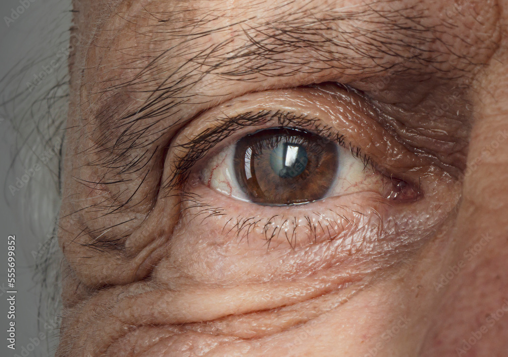 Fototapeta premium close-up of old man eye