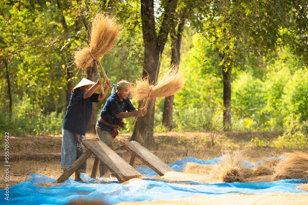 Rural life for more than 70% of Thai farmers involves farming. The ...