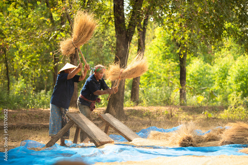 Photos Rural life for more than 70% of Thai farmers involves farming