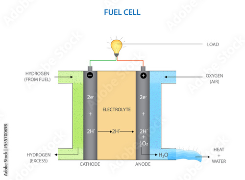 Hydrogen oxygen fuel cell