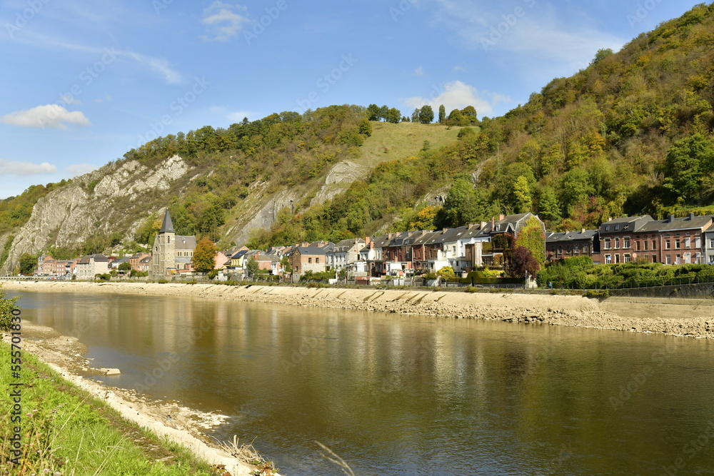 Naklejka premium Partie sud de la ville de Dinant avec l'église St-Paul entre la Meuse et la colline rocheuse 