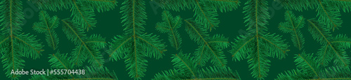 Panoramic pattern green fir branches on a green background.