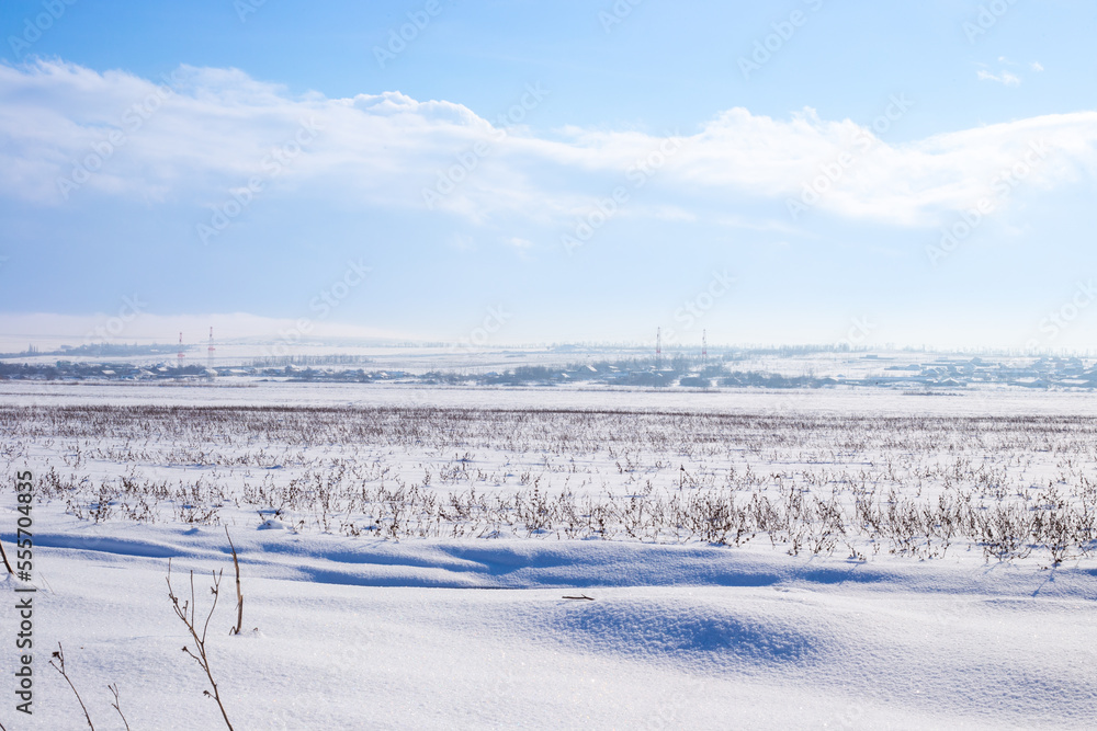 A field covered with white snow in the countryside. A winter rural landscape.