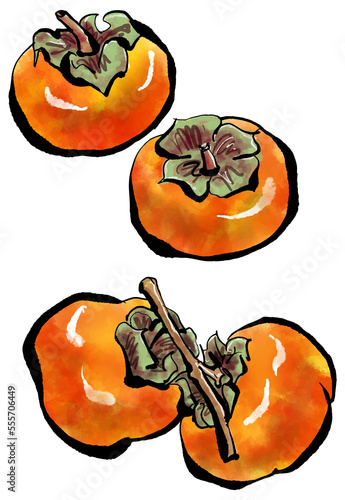 「柿の実（かきのみ）・persimmon」の手書きイラスト（筆書き墨絵風）